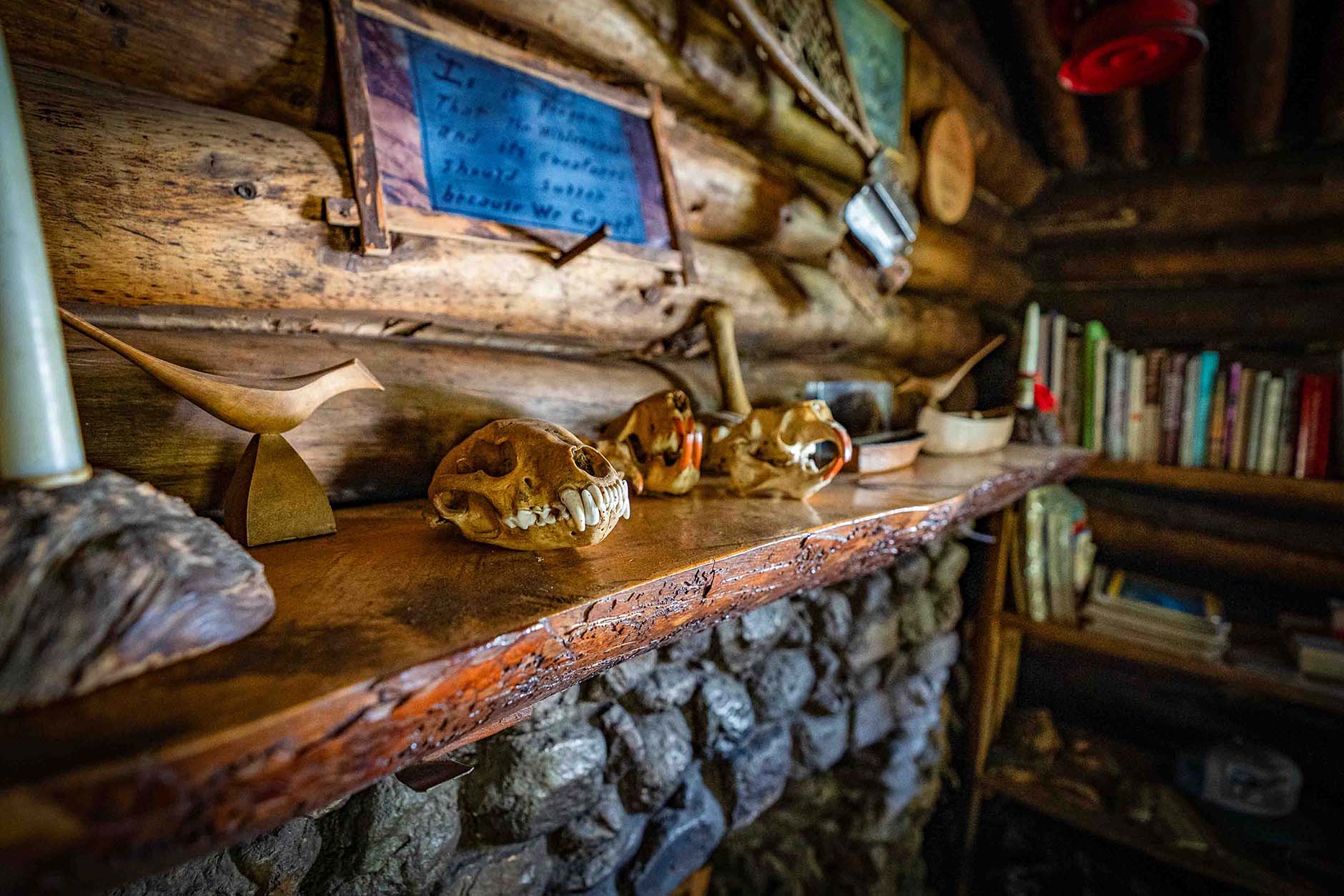 Dick Proenneke | Twin Lakes Alaska